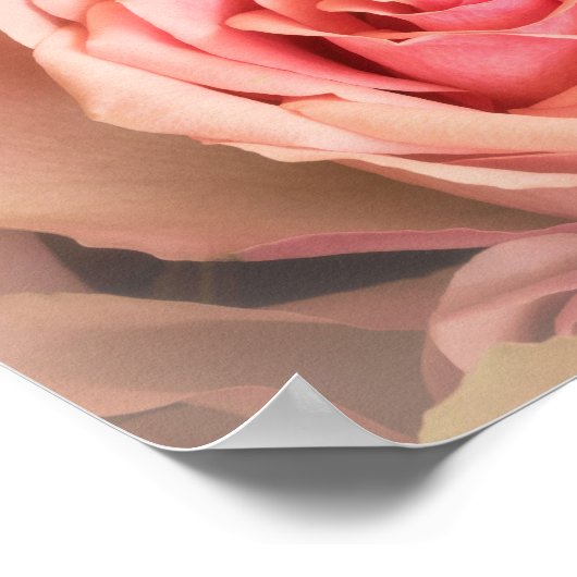 Weichzeichnen der Rose Poster (Ecke)