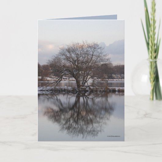 Weide als Weltbaum Karte (Vorderseite)