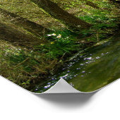 Weide am River Test Poster (Ecke)