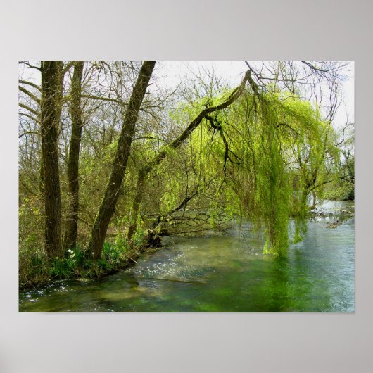 Weide am River Test Poster (Vorne)