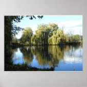 Weide am See weinend Poster (Vorne)