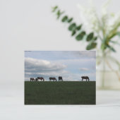 Weide auf dem Hügel Postkarte (Stehend Vorderseite)