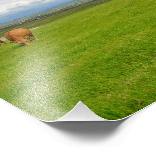 Weide auf einer Wiese in Irland Foto drucken (Ecke)