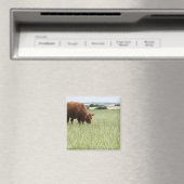 Weide auf Wiese Magnet (In Situ (Geschirrspüler))