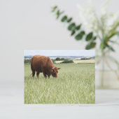 Weide auf Wiese Postkarte (Stehend Vorderseite)