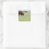 Weide auf Wiese Quadratischer Aufkleber (Tasche)