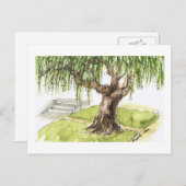 Weide-Baum-Postkarten Postkarte (Vorne/Hinten)