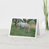 Weide des Weißen Pferdes auf dem Grasfeld Karte (Vorderseite)