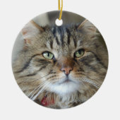 Weide die Katze Keramikornament (Vorne)