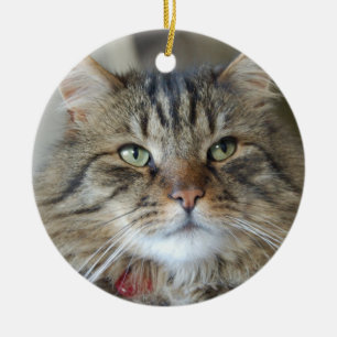 Weide die Katze Keramikornament