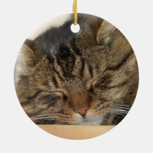 Weide die Katze Keramikornament (Hinten)