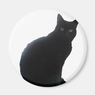 Weide die schwarze Katze Magnet