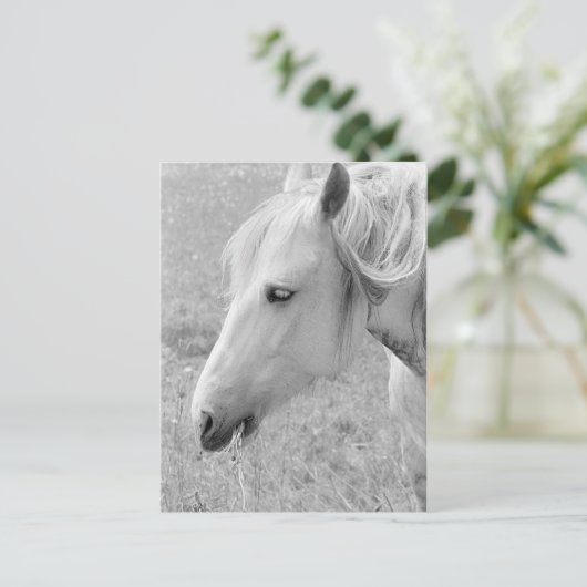 Weide Grau Postkarte (Stehend Vorderseite)