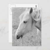 Weide Grau Postkarte (Vorne/Hinten)