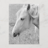 Weide Grau Postkarte (Vorderseite)