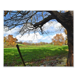 Weide im Herbst Fotoabzug Fotodruck