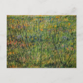 Weide in Bloom von Vincent van Gogh Postkarte (Vorderseite)