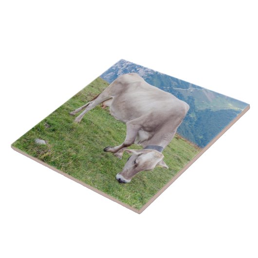 Weide in den Alpen Keramik Fliesen (Seite)