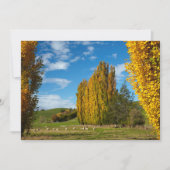 Weide mit Schafen Dankeskarte (Vorderseite)