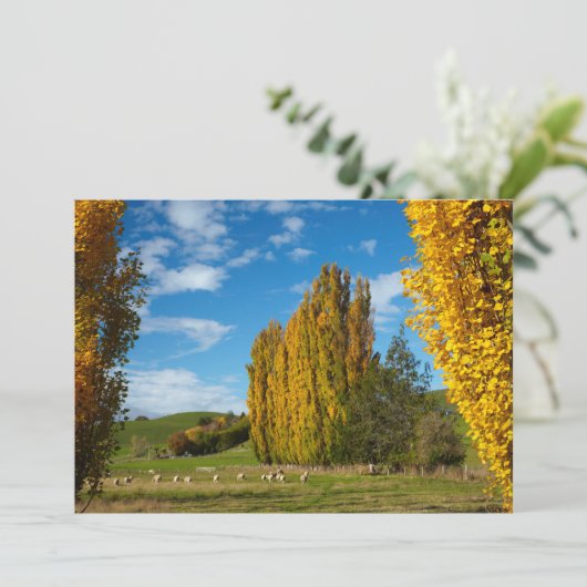 Weide mit Schafen Dankeskarte (Stehend Vorderseite)