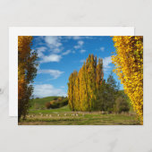 Weide mit Schafen Dankeskarte (Vorne/Hinten)