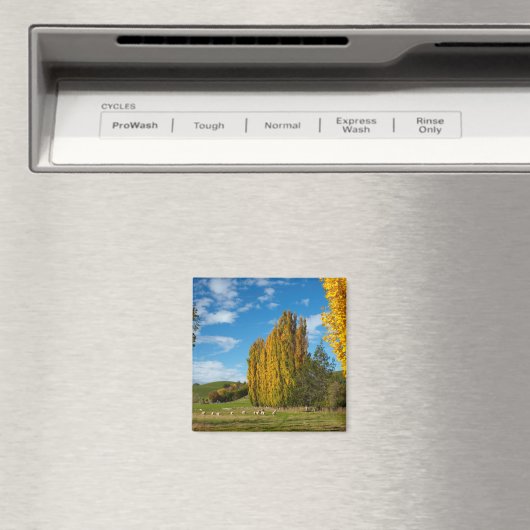 Weide mit Schafen Magnet (In Situ (Geschirrspüler))