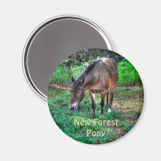 Weide New Forest Pony Wildlife Magnet (Vorderseite/Rückseite)