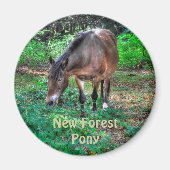 Weide New Forest Pony Wildlife Magnet (Vorne)