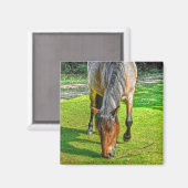 Weide New Forest Pony Wildlife Magnet (Vorderseite/Rückseite)
