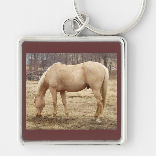 Weide Palomino Pferd Schlüsselanhänger (Vorne)