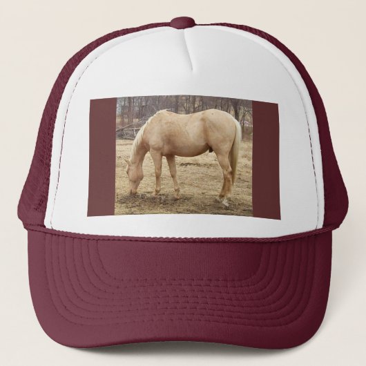 Weide Palomino Pferd Truckerkappe (Vorderseite)