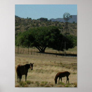 Weide Perfect Poster