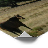 Weide Perfect Poster (Ecke)