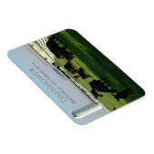 Weideanguskühe, Eisenhower Farm, Gettysburg Magnet (Rechte Seite)