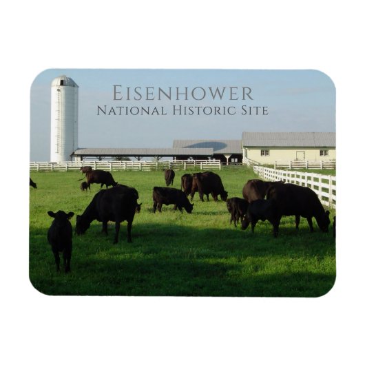 Weideanguskühe, Eisenhower Farm, Gettysburg Magnet (Horizontal)