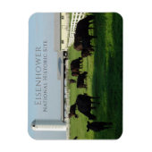 Weideanguskühe, Eisenhower Farm, Gettysburg Magnet (Vertikal)