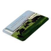 Weideanguskühe, Eisenhower Farm, Gettysburg Magnet (Linke Seite)