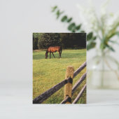 Weidebucht Postkarte (Stehend Vorderseite)