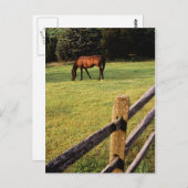 Weidebucht Postkarte (Vorne/Hinten)