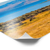 Weidebuffet, großer Salzsee, Utah Fotodruck (Ecke)