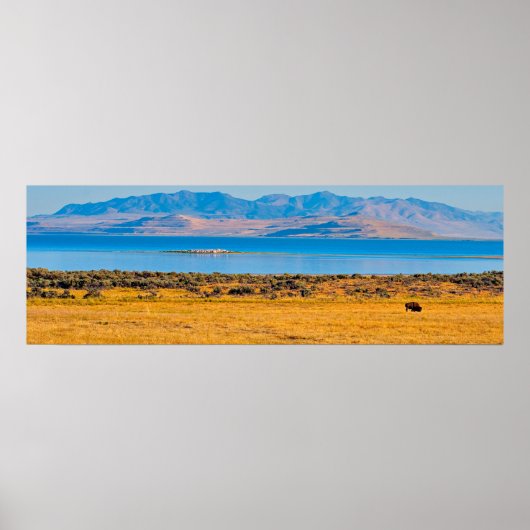 Weidebuffet, großer Salzsee, Utah Poster (Vorne)