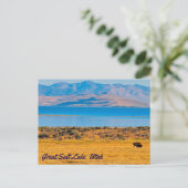 Weidebuffet, großer Salzsee, Utah Postkarte (Stehend Vorderseite)