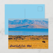 Weidebuffet, großer Salzsee, Utah Postkarte (Vorne/Hinten)
