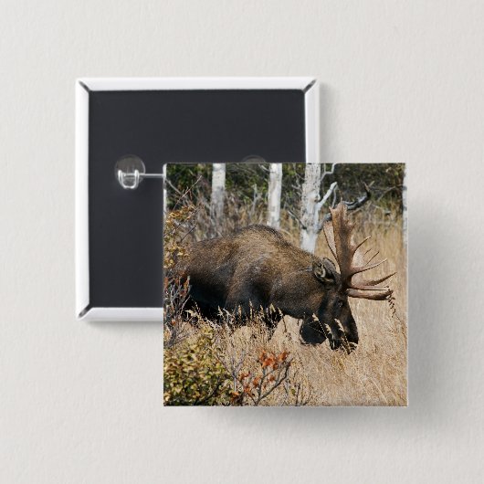 Weidebulle Button (Vorne & Hinten)