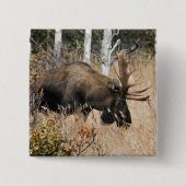 Weidebulle Button (Vorderseite)