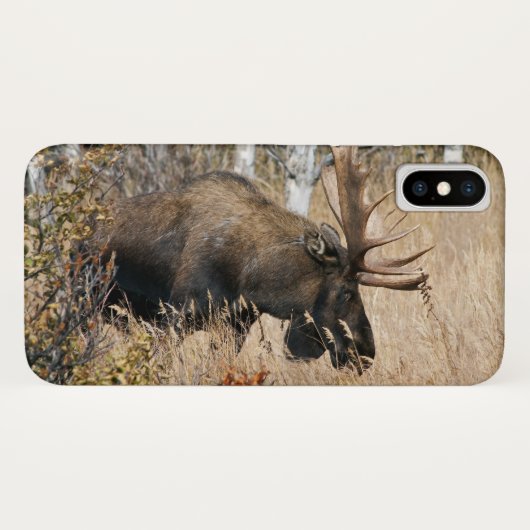Weidebulle Case-Mate iPhone Hülle (Rückseite (Horizontal))