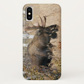 Weidebulle Case-Mate iPhone Hülle (Rückseite)