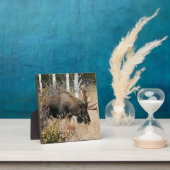 Weidebulle Fotoplatte (InSitu)