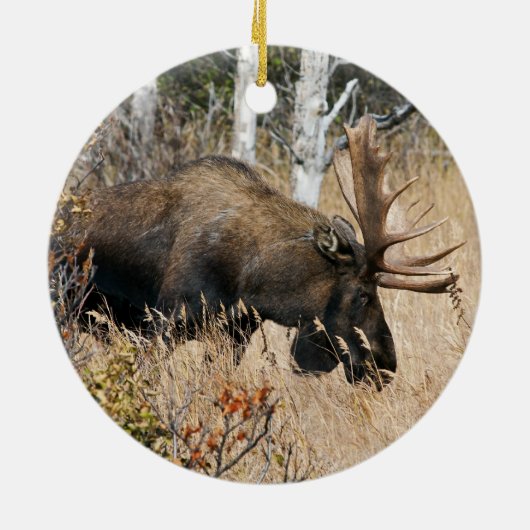 Weidebulle Keramikornament (Hinten)