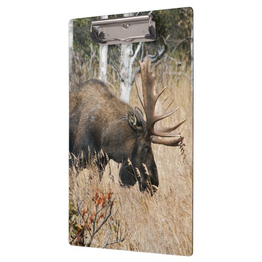 Weidebulle Klemmbrett (Links)